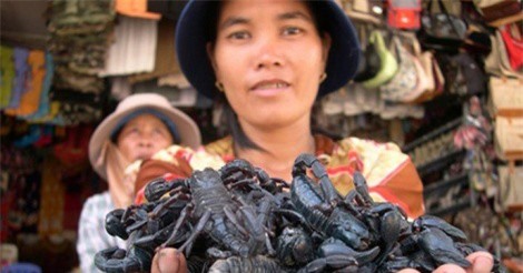 Đặc sản ngon trứ danh bọ cạp vùng Bảy Núi khách có tiền mua cũng khó kiếm