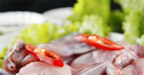 Trẻ suy dinh dưỡng có nên cho ăn thịt cóc?