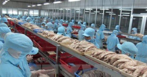 Cơ hội từ hiệp định EVFTA