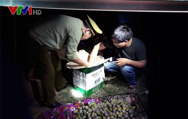 Thu giữ gần 200kg pháo lậu tại Nghệ An