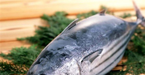 Làm sao để biết cơ thể bạn có dị ứng khi ăn cá ngừ?