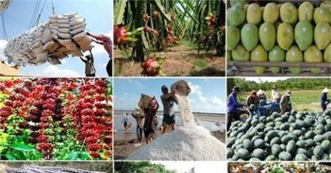 Nông nghiệp số là đòn bẩy gia tăng giá trị nông sản