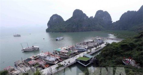 PCI - DDCI: Cặp đôi phục vụ doanh nghiệp