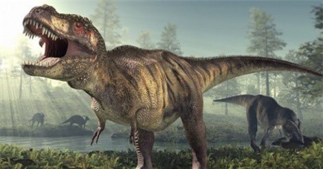 Phát hiện 300 dấu chân khủng long tại Trung Quốc