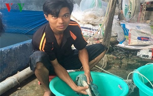 Thu nhập cả tỷ đồng mỗi năm từ mô hình ương giống cá chạch lấu