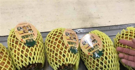 Đại gia đua nhau mua dứa Đài Loan giá gấp 100 lần dứa Việt