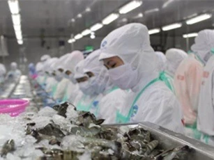 Thương lái trả giá "xởi lởi", giá tôm quay đầu tăng nhẹ