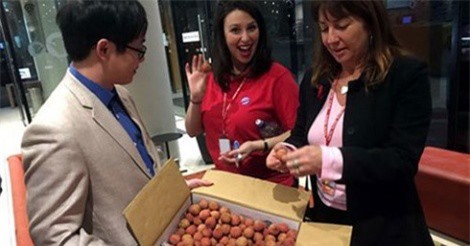 Vải thiều tươi sang Tây Úc, 240.000 đồng/kg người Việt vẫn thích mê