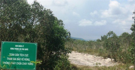 Kiên Giang: Bắt 2 đối tượng chặt phá hơn 3.000m2 rừng ở Phú Quốc