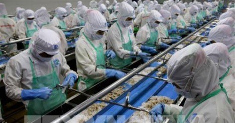 Ngành thủy sản thực hiện đồng bộ các giải pháp 6 tháng cuối năm 2018