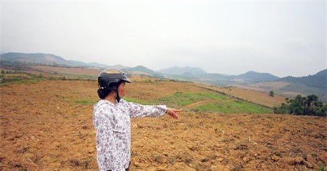 Doanh nghiệp Nông nghiệp công nghệ cao: Khó về thủ tục thuê đất