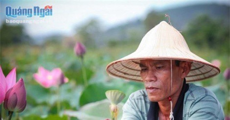 Biến đất hoang thành đầm sen, đẹp làng, nhà lại có tiền tiêu