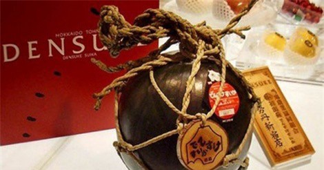Nhà giàu mê mẩn trái cây “siêu đắt” của Nhật Bản