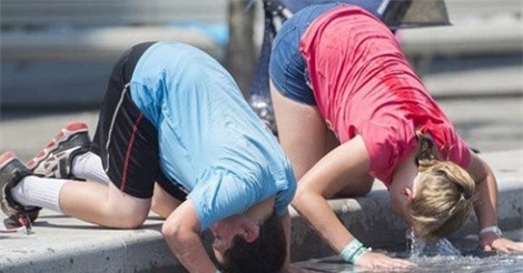 Nắng nóng ở Canada làm ít nhất 54 người chết chỉ trong một tuần