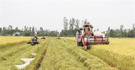 Phát triển hợp tác xã bền vững thông qua hợp tác