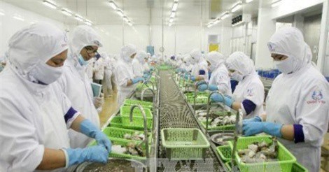 Xuất khẩu vẫn là điểm sáng trong bức tranh kinh tế Việt Nam