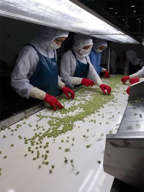 Thêm nhiều doanh nghiệp nông nghiệp được thành lập mới