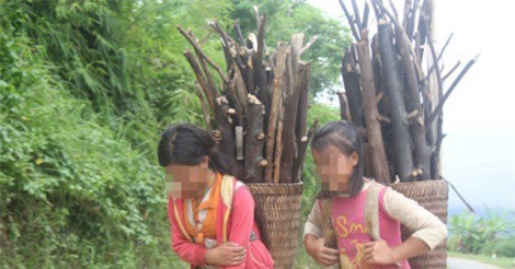 Đắk Nông: Nhiều trẻ em bị dụ dỗ, ép "lao động khổ sai" ở TPHCM