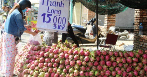 Thanh long giá rẻ bán đầy vỉa hè Sài Gòn