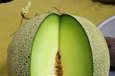 Trồng dưa lưới trên sân thượng, “siêu nông dân” bội thu