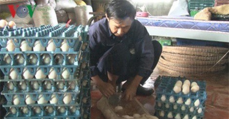 Trứng vịt Đồng Tháp đắt hàng, sốt giá