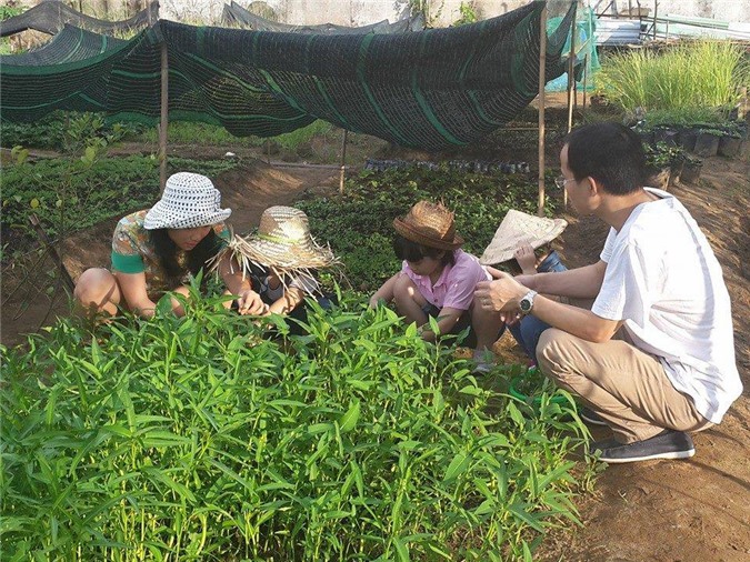 Hè đến cho bé tập làm nông dân ở nông trại giữa lòng Sài Gòn