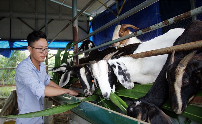 Khi thanh niên vùng sâu khát khao lập nghiệp