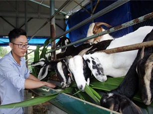 Khi thanh niên vùng sâu khát khao lập nghiệp
