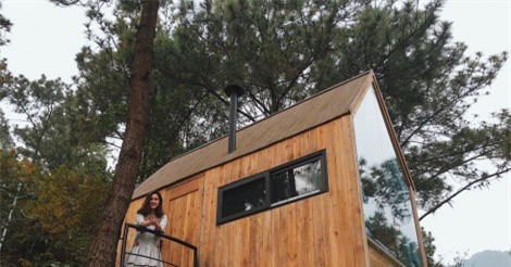 Trải nghiệm ngủ nhà gỗ giữa rừng thông cách Hà Nội nửa giờ chạy xe