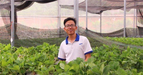 9X rời phố lên bản khởi nghiệp