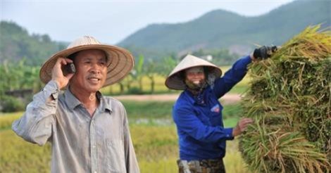 Fintech Việt bỏ trống thị trường nông thôn