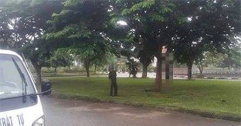 Hải Dương: Phát hiện nam thanh niên treo cổ trên cây khi đi tập thể dục