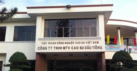 Cao su Dầu Tiếng đa dạng hóa các chủng loại sản phẩm