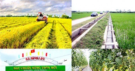 Chính quyền xã phải trả lại hộ nghèo tiền thu xây dựng nông thôn mới