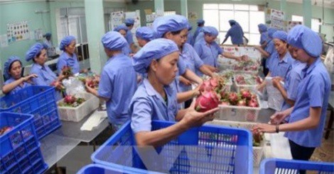 Để nông sản Việt có chỗ đứng ở thị trường Hàn Quốc