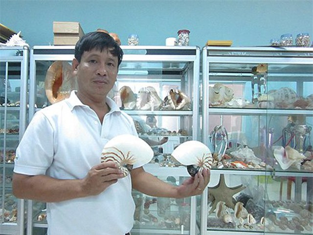 "Bộ sưu tập" hơn 1.000 loài ốc biển cổ, quý hiếm của HLV bơi lặn