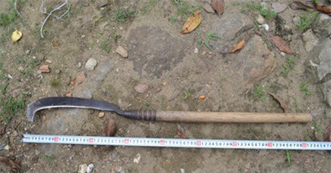 Cha tâm thần chém chết 2 con