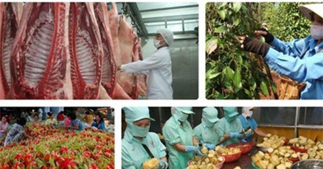 Nhiều “nút thắt” xuất khẩu nông sản Việt đang dần được tháo gỡ