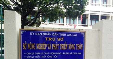 Gia Lai: Chuyển cơ quan điều tra vụ chi sai, lập chứng từ khống hơn 400 triệu đồng
