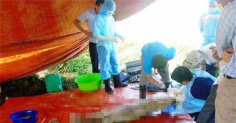 Vụ kế toán trưởng treo cổ ở Nghệ An: Không đủ căn cứ xác định nguyên nhân cái chết