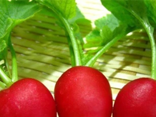 5 loại củ giúp chống oxy hóa cực tốt
