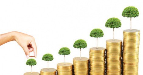 Đạt Phương thu về gần 12 tỷ đồng mỗi ngày trong quý II