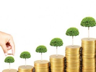 Đạt Phương thu về gần 12 tỷ đồng mỗi ngày trong quý II