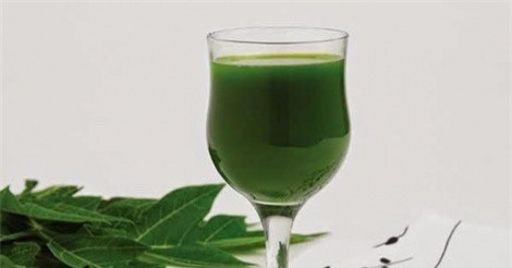 Tác dụng kỳ diệu của lá đu đủ mà nhiều người không biết