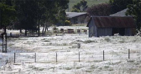 Bí ẩn 'tóc thiên thần' trên trời rơi xuống khiến con người sợ phát khiếp