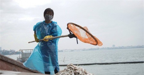 Bộ TN-MT đề nghị điều tra nguyên nhân cá Hồ Tây chết hàng loạt