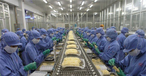 Tôm Việt vào Mỹ giảm do Ấn Độ và Indonesia tăng cung