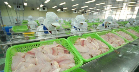 WTO xem xét vụ Việt Nam kiện Mỹ về thuế cá tra