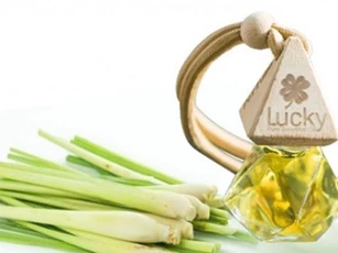 Cách làm tinh dầu sả đuổi muỗi, làm đẹp cực hiệu quả