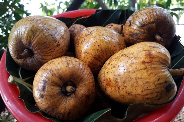 Hương vị bình bát gợi nhớ ký ức tuổi thơ